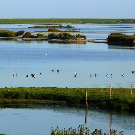 Haus-Halligblick-Ferienwohnung-Hamburger-Hallig ดาเกอบึล ภายนอก รูปภาพ